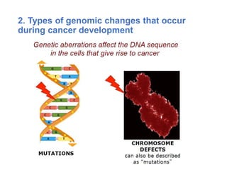 2. Types of genomic changes that occur
during cancer development
 