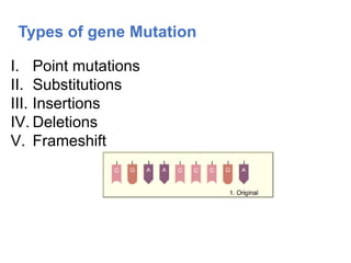 Types of gene Mutation
I. Point mutations
II. Substitutions
III. Insertions
IV. Deletions
V. Frameshift
 