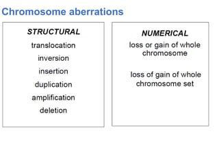 Chromosome aberrations
 