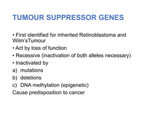 TUMOUR SUPPRESSOR GENES
• First identified for inherited Retinoblastoma and
Wilm’sTumour
• Act by loss of function
• Recessive (inactivation of both alleles necessary)
• Inactivated by
a) mutations
b) deletions
c) DNA methylation (epigenetic)
Cause predisposition to cancer
 