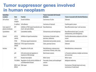 Tumor suppressor genes involved
in human neoplasm
 