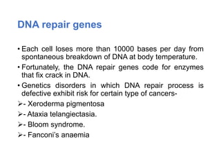 DNA repair genes
• Each cell loses more than 10000 bases per day from
spontaneous breakdown of DNA at body temperature.
• Fortunately, the DNA repair genes code for enzymes
that fix crack in DNA.
• Genetics disorders in which DNA repair process is
defective exhibit risk for certain type of cancers-
- Xeroderma pigmentosa
- Ataxia telangiectasia.
- Bloom syndrome.
- Fanconi’s anaemia
 