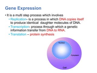 Gene Expression
• It is a multi step process which involves
• Replication- is a process in which DNA copies itself
to produce identical daughter molecules of DNA.
• Transcription- process through which a genetic
information transfer from DNA to RNA.
• Translation – protein synthesis
 