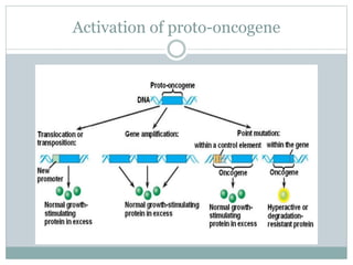 Activation of proto-oncogene
 