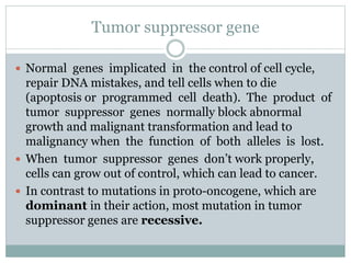 Tumor suppressor gene
 Normal genes implicated in the control of cell cycle,
repair DNA mistakes, and tell cells when to die
(apoptosis or programmed cell death). The product of
tumor suppressor genes normally block abnormal
growth and malignant transformation and lead to
malignancy when the function of both alleles is lost.
 When tumor suppressor genes don’t work properly,
cells can grow out of control, which can lead to cancer.
 In contrast to mutations in proto-oncogene, which are
dominant in their action, most mutation in tumor
suppressor genes are recessive.
 