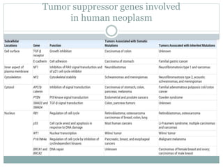 Tumor suppressor genes involved
in human neoplasm
 