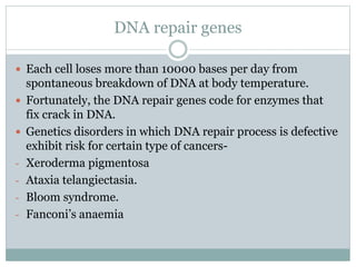 DNA repair genes
 Each cell loses more than 10000 bases per day from
spontaneous breakdown of DNA at body temperature.
 Fortunately, the DNA repair genes code for enzymes that
fix crack in DNA.
 Genetics disorders in which DNA repair process is defective
exhibit risk for certain type of cancers-
- Xeroderma pigmentosa
- Ataxia telangiectasia.
- Bloom syndrome.
- Fanconi’s anaemia
 