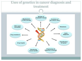 Uses of genetics in cancer diagnosis and
treatment
 