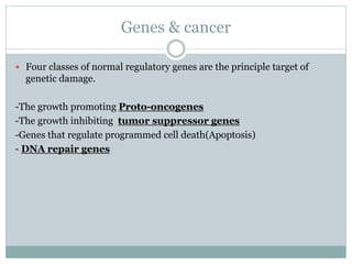 Genes & cancer
 Four classes of normal regulatory genes are the principle target of
genetic damage.
-The growth promoting Proto-oncogenes
-The growth inhibiting tumor suppressor genes
-Genes that regulate programmed cell death(Apoptosis)
- DNA repair genes
 