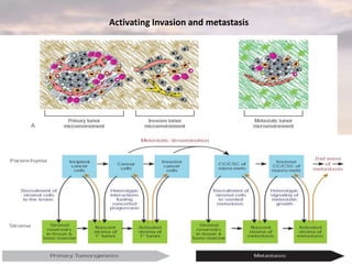 Activating Invasion and metastasis
 