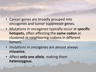 • Cancer genes are broadly grouped into
oncogenes and tumor suppressor genes.
• Mutations in oncogenes typically occur at specific
hotspots, often affecting the same codon or
clustered at neighboring codons in different
tumors.
• mutations in oncogenes are almost always
missense,
• Affect only one allele, making them
heterozygous.
 