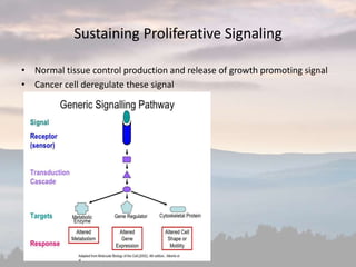 Sustaining Proliferative Signaling
• Normal tissue control production and release of growth promoting signal
• Cancer cell deregulate these signal
 