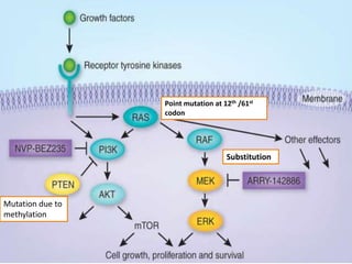 Point mutation at 12th /61st
codon
Mutation due to
methylation
Substitution
 
