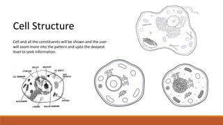 Cell Structure 
Cell and all the constituents will be shown and the user 
will zoom more into the pattern and upto the deepest 
level to seek information. 
 