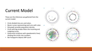 Current Model 
These are the inferences we gathered from the 
current model: 
• Circle divided into arcs and colors. 
• Bevier curves representing each arcs with color. 
• Dot graph provides population density. 
• Circle with big strokes filters the incoming and 
outgoing curves. 
• Outermost circle(one with speedometric lines) 
dividing the circles into numbers. 
• Bar histograms depicts SNP count. 
 
