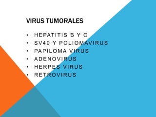 VIRUS TUMORALES
•   H E PAT I T I S B Y C
•   S V 4 0 Y P O L I O M AV I R U S
•   PA P I L O M A V I R U S
•   ADENOVIRUS
•   HERPES VIRUS
•   RETROVIRUS
 