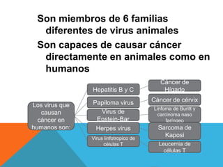 Son miembros de 6 familias
  diferentes de virus animales
 Son capaces de causar cáncer
  directamente en animales como en
  humanos
                                           Cáncer de
                Hepatitis B y C             Hígado

                Papiloma virus          Cáncer de cérvix
Los virus que
                                        Linfoma de Buritt y
   causan         Virus de               carcinoma naso
  cáncer en      Epstein-Bar                 faríngeo
humanos son:     Herpes virus             Sarcoma de
                Virus linfotropico de
                                            Kaposi
                     células T            Leucemia de
                                            células T
 