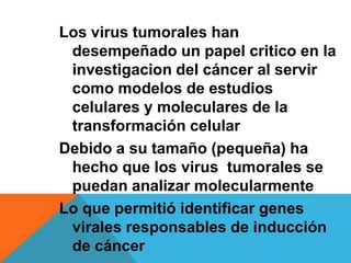 Los virus tumorales han
 desempeñado un papel critico en la
 investigacion del cáncer al servir
 como modelos de estudios
 celulares y moleculares de la
 transformación celular
Debido a su tamaño (pequeña) ha
 hecho que los virus tumorales se
 puedan analizar molecularmente
Lo que permitió identificar genes
 virales responsables de inducción
 de cáncer
 