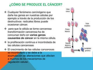 ¿CÓMO SE PRODUCE EL CÁNCER?

 Cualquier fenómeno carcinógeno que
  dañe los genes en nuestras células por
  ejemplo a través de la producción de los
  destructivos radicales libres puede
  ocasionar cáncer.
 para que la célula se torne cancerosa
  transformación cancerosa ha de
  concursar daño en varios genes
  causantes de cáncer en la misma célula.
 la proliferación continua e incontrolada de
  las células cancerosas
 El crecimiento de las células cancerosas
  es incontrolado y se debe a la
  acumulación de alteraciones que afectan
  a muchos de los mecanismos de
  regulación celular.
 
