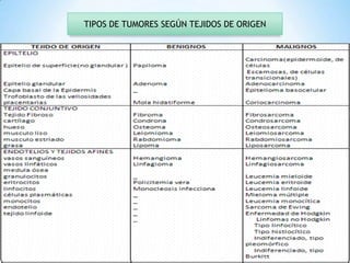 TIPOS DE TUMORES SEGÚN TEJIDOS DE ORIGEN

 