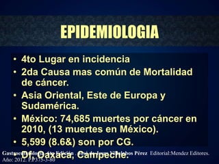 EPIDEMIOLOGIA 
• 4to Lugar en incidencia 
• 2da Causa mas común de Mortalidad 
de cáncer. 
• Asia Oriental, Este de Europa y 
Sudamérica. 
• México: 74,685 muertes por cáncer en 
2010, (13 muertes en México). 
• 5,599 (8.6&) son por CG. 
• Df, Oaxaca, Campeche. 
Gastroenterología. 6ta Edición . José de Jesus Villalobos Pérez Editorial:Mendez Editores. 
Año: 2012. P.P375-3-80 
 