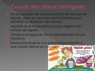  No se conocen las causas exactas del cáncer de
hígado, pero se conocen ciertos factores que
permiten la aparición del cáncer :
 hepatitis es el factor principal que origina más
cáncer de hígado.
 Cirrosis es el segundo factor principal del cáncer
hepático.
 hemocromatosis es una enfermedad hepática
que puede derivar en cáncer.
 