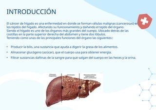 INTRODUCCIÓN
El cáncer de hígado es una enfermedad en donde se forman células malignas (cancerosas) en
los tejidos del hígado. Afectando su funcionamiento y dañando el tejido del órgano.
Siendo el hígado es uno de los órganos más grandes del cuerpo. Ubicado detrás de las
costillas en la parte superior derecha del abdomen y tiene dos lóbulos.
Teniendo como unas de las principales funciones del órgano las siguientes::
• Producir la bilis, una sustancia que ayuda a digerir la grasa de los alimentos.
• Almacenar glucógeno (azúcar), que el cuerpo usa para obtener energía.
• Filtrar sustancias dañinas de la sangre para que salgan del cuerpo en las heces y la orina.
 