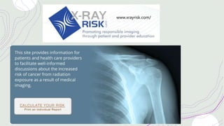 www.xrayrisk.com/
 