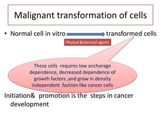 Cancer immunology | PPTX