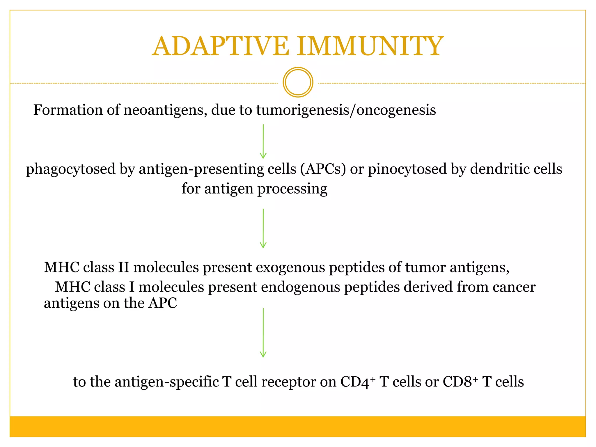 ADAPTIVE IMMUNITY
Formation of neoantigens, due to tumorigenesis/oncogenesis
phagocytosed by antigen-presenting cells (APCs) or pinocytosed by dendritic cells
for antigen processing
MHC class II molecules present exogenous peptides of tumor antigens,
MHC class I molecules present endogenous peptides derived from cancer
antigens on the APC
to the antigen-specific T cell receptor on CD4+ T cells or CD8+ T cells
 