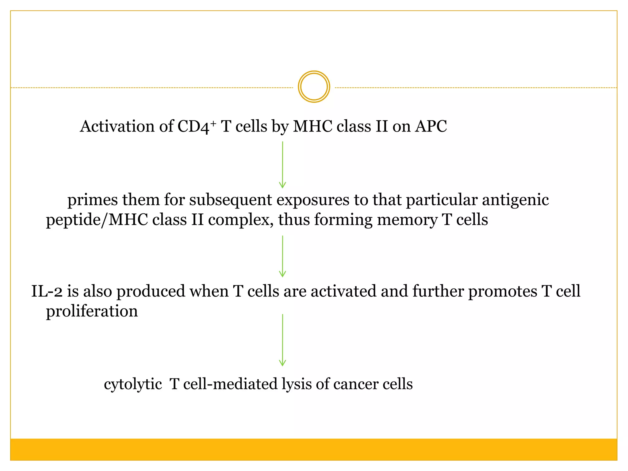 Activation of CD4+ T cells by MHC class II on APC
primes them for subsequent exposures to that particular antigenic
peptide/MHC class II complex, thus forming memory T cells
IL-2 is also produced when T cells are activated and further promotes T cell
proliferation
cytolytic T cell-mediated lysis of cancer cells
 