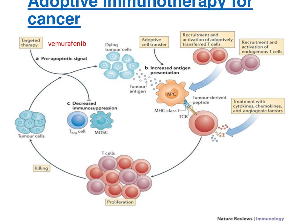Cancer immunotherapy