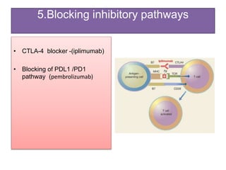 Cancer immunotherapy | PPTX