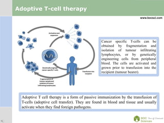 LOGO
Adoptive T-cell therapy
www.bocsci.com
Adoptive T cell therapy is a form of passive immunization by the transfusion of
T-cells (adoptive cell transfer). They are found in blood and tissue and usually
activate when they find foreign pathogens.
Cancer specific T-cells can be
obtained by fragmentation and
isolation of tumour infiltrating
lymphocytes, or by genetically
engineering cells from peripheral
blood. The cells are activated and
grown prior to transfusion into the
recipient (tumour bearer).
 