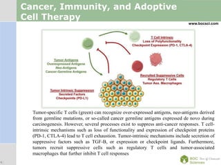 LOGO
Cancer, Immunity, and Adoptive
Cell Therapy
www.bocsci.com
Tumor-specific T cells (green) can recognize over-expressed antigens, neo-antigens derived
from germline mutations, or so-called cancer germline antigens expressed de novo during
carcinogenesis. However, several processes exist to suppress anti-cancer responses. T cell-
intrinsic mechanisms such as loss of functionality and expression of checkpoint proteins
(PD-1, CTLA-4) lead to T cell exhaustion. Tumor-intrinsic mechanisms include secretion of
suppressive factors such as TGF-B, or expression or checkpoint ligands. Furthermore,
tumors recruit suppressive cells such as regulatory T cells and tumor-associated
macrophages that further inhibit T cell responses
 