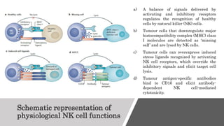 ROLE OF IMMUNE CELLS IN CANCER AND TARGETING IMMUNE CELLS FOR CANCER ...