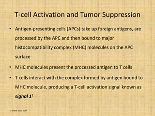 T-cell Activation and Tumor Suppression
• Antigen-presenting cells (APCs) take up foreign antigens, are
processed by the APC and then bound to major
histocompatibility complex (MHC) molecules on the APC
surface
• MHC molecules present the processed antigen to T cells
• T cells interact with the complex formed by antigen bound to
MHC molecule, producing a T-cell activation signal known as
signal 11
1. Bowes et al, 2014
 