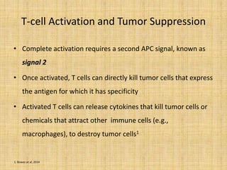 T-cell Activation and Tumor Suppression
• Complete activation requires a second APC signal, known as
signal 2
• Once activated, T cells can directly kill tumor cells that express
the antigen for which it has specificity
• Activated T cells can release cytokines that kill tumor cells or
chemicals that attract other immune cells (e.g.,
macrophages), to destroy tumor cells1
1. Bowes et al, 2014
 