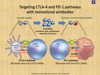 Adapted from Pardoll DM. Nat Rev Cancer. 2012;12:252–264.
Targeting CTLA-4 and PD-1 pathways
with monoclonal antibodies
T cell Tumour cell
TCR
PD-L1
PD-1
T cell
Dendritic
cell
MHC
TCR
CD28
B7 CTLA-4
- - -
Activation
(cytokines, lysis, proliferation,
migration to tumour)
B7
+++
+++
CTLA-4 pathway
(Blockade with anti-CTLA-4 MAb)
PD-1 pathway
(Blockade with Anti PD-1 MAb)
Anti-CTLA-4
Anti-PD-1/PD-L1
Lymph nodes Tumour microenvironment
+++
PD-L2
PD-1
Anti-PD-1
- - -
- - -
MHC
 