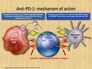MHC
PD-L1
PD-1 PD-1
PD-1
PD-1
Anti-PD-1 MAb blocks the PD-1 receptor
Recognition of tumour by T cell through MHC/antigen
interaction mediates IFNγ release and PD-L1/2 up-
regulation on tumour
Priming and activation of T cells through MHC/antigen
& CD28/B7 interactions with antigen-presenting cells
T cell
receptor
T cell
receptor
PD-L1
PD-L2
PD-L2
MHC
CD28 B7
T cell
NFκB
Other
PI3K
Dendritic
cell
Tumour
cell
IFNγ
IFNγR
Shp-2
Shp-2
Adapted from Pardoll DM. Nat Rev Cancer. 2012;12:252–264.
Anti-PD-1: mechanism of action
 