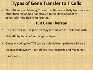 Types of Gene Transfer to T Cells
• The difficulty in obtaining TILs with antitumor activity from cancers
other than melanoma has also led to the development of
genetically modified lymphocytes.
TCR Gene Therapy
• The first step in TCR gene therapy is to isolate a T-cell clone with
high affinity for a defined target antigen.
• Genes encoding the TCR can be isolated from patients with rare
reactive high avidity T-cell clones that recognize and lyse target
tumor cells.
 