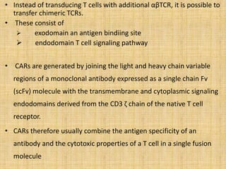 • Instead of transducing T cells with additional αβTCR, it is possible to
transfer chimeric TCRs.
• These consist of
 exodomain an antigen bindiing site
 endodomain T cell signaling pathway
• CARs are generated by joining the light and heavy chain variable
regions of a monoclonal antibody expressed as a single chain Fv
(scFv) molecule with the transmembrane and cytoplasmic signaling
endodomains derived from the CD3 ζ chain of the native T cell
receptor.
• CARs therefore usually combine the antigen specificity of an
antibody and the cytotoxic properties of a T cell in a single fusion
molecule
 