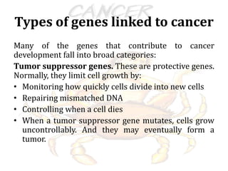Types of genes linked to cancer
Many of the genes that contribute to cancer
development fall into broad categories:
Tumor suppressor genes. These are protective genes.
Normally, they limit cell growth by:
• Monitoring how quickly cells divide into new cells
• Repairing mismatched DNA
• Controlling when a cell dies
• When a tumor suppressor gene mutates, cells grow
uncontrollably. And they may eventually form a
tumor.
 