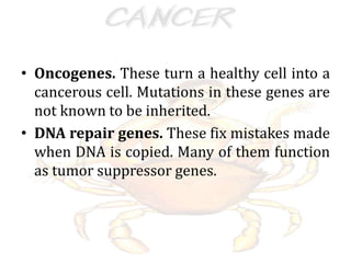 • Oncogenes. These turn a healthy cell into a
cancerous cell. Mutations in these genes are
not known to be inherited.
• DNA repair genes. These fix mistakes made
when DNA is copied. Many of them function
as tumor suppressor genes.
 