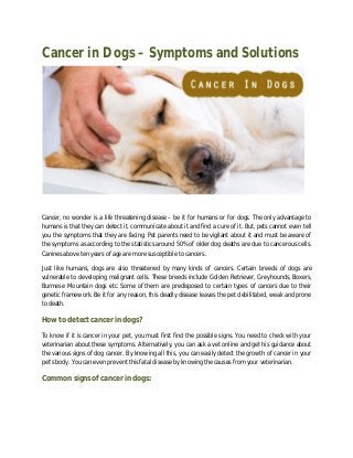 Cancer in Dogs – Symptoms and Solutions
Cancer, no wonder is a life threatening disease – be it for humans or for dogs. The only advantage to
humans is that they can detect it, communicate about it and find a cure of it. But, pets cannot even tell
you the symptoms that they are facing. Pet parents need to be vigilant about it and must be aware of
the symptoms as according to the statistics around 50% of older dog deaths are due to cancerous cells.
Canines above ten years of age are more susceptible to cancers.
Just like humans, dogs are also threatened by many kinds of cancers. Certain breeds of dogs are
vulnerable to developing malignant cells. These breeds include Golden Retriever, Greyhounds, Boxers,
Burmese Mountain dogs etc. Some of them are predisposed to certain types of cancers due to their
genetic framework. Be it for any reason, this deadly disease leaves the pet debilitated, weak and prone
to death.
How to detect cancer in dogs?
To know if it is cancer in your pet, you must first find the possible signs. You need to check with your
veterinarian about these symptoms. Alternatively, you can ask a vet online and get his guidance about
the various signs of dog cancer. By knowing all this, you can easily detect the growth of cancer in your
pet’s body. You can even prevent this fatal disease by knowing the causes from your veterinarian.
Common signs of cancer in dogs:
 
