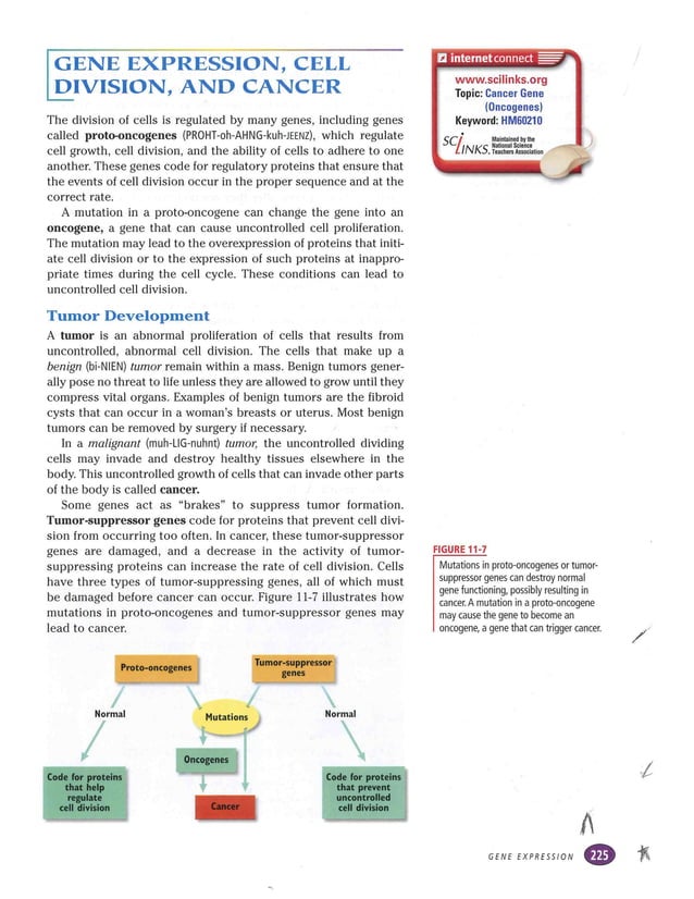 Cancer info in bio textbook | PDF