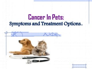 Cancer In Pets:
Symptoms and Treatment Options..
 