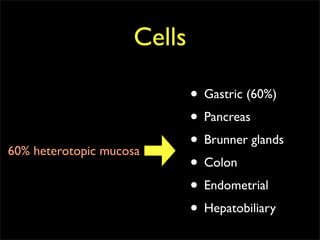 Cells

                            • Gastric (60%)
                            • Pancreas
60% heterotopic mucosa
                            • Brunner glands
                            • Colon
                            • Endometrial
                            • Hepatobiliary
 