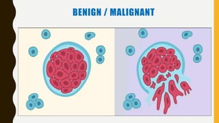 BENIGN / MALIGNANT
 