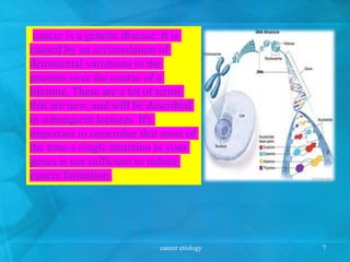 cancer is a genetic disease. It is
caused by an accumulation of
detrimental variations in the
genome over the course of a
lifetime. These are a lot of terms
that are new, and will be described
in subsequent lectures. It's
important to remember that most of
the time a single mutation in your
genes is not sufficient to induce
cancer formation.
cancer etiology 7
 